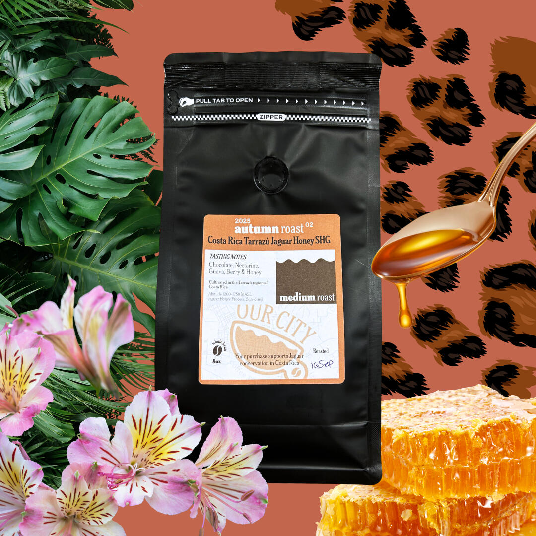 Autumn Roast | Costa Rica Tarrazú Jaguar Honey A 8oz bag of Costa Rica Tarrazú Jaguar Honey whole bean coffee.